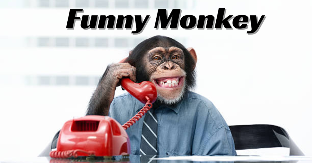 Funny Monkey