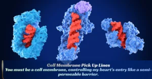Cell Membrane Pick Up Lines