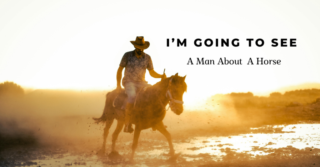  Man About a Horse